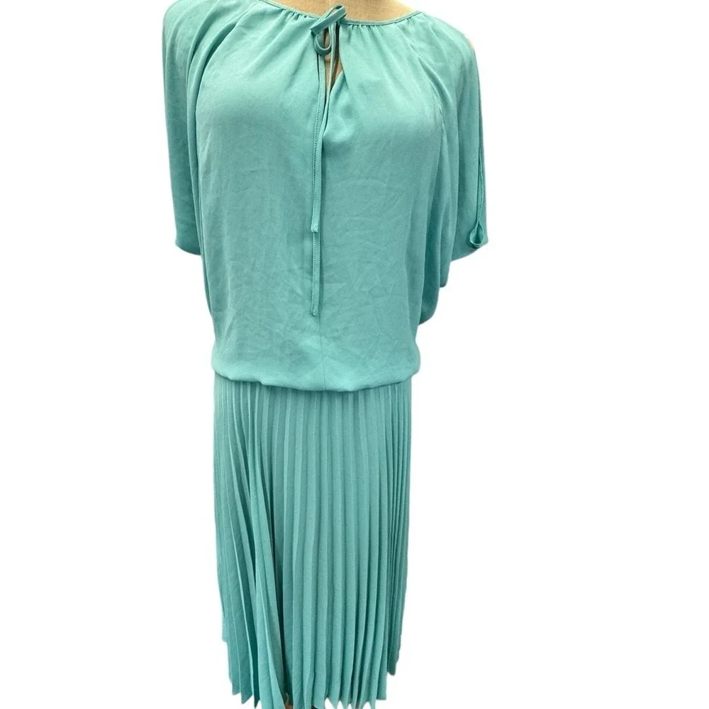 NWT!!, "LONA"Sage Green Dress, Pleated,Crinkled, Slit Sleeve, Fairy,Flowing - Picture 2 of 13